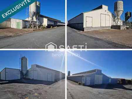 vente bureaux et commerces à boussay (44190) : à vendre / 4290m² boussay