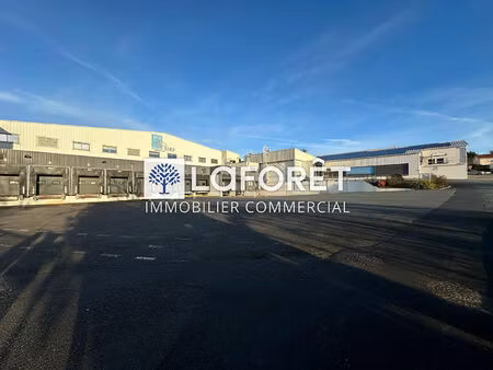 entrepôt / local industriel la chataigneraie 6475 m2