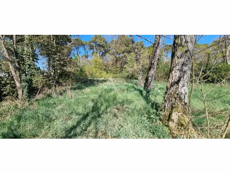 beau terrain constructible à saint hilaire de riez 800 m2