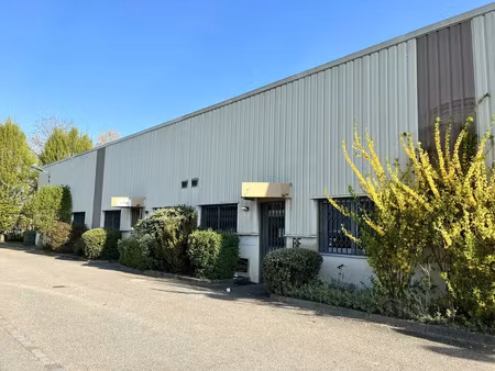 locaux d'activite a louer