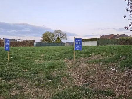 terrain à vendre à herderen € 126.000 (l650h) - cops & swenters | zimmo