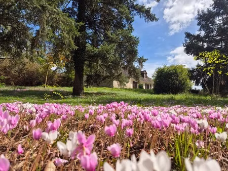 dpt cher (18)  à vendre culan maison p6 de 145 2 m² - terrain de 3 110 00 m² - plain pied