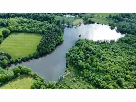 vente terrain 25814 m² troche (19230)