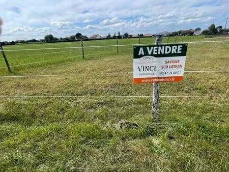 terrain constructible - savigné sur lathan