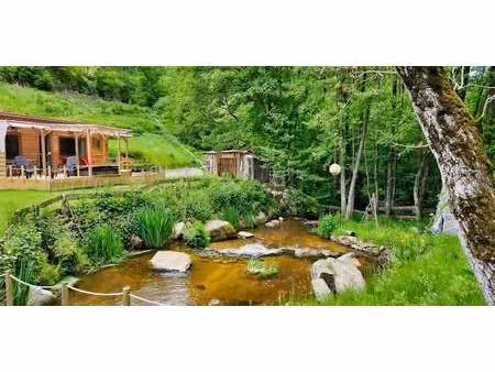 maison avec piscine et jardin celles-sur-durolle (63)