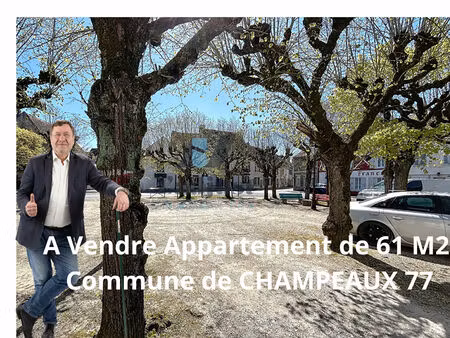 appartement champeaux 3 pièce(s) 61 m2