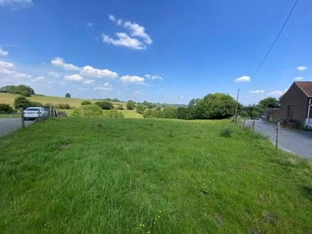 grand terrain zone à bâtir + agricole à cornesse