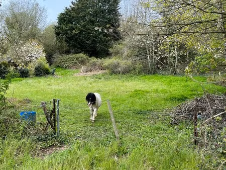 etretat terrain constructible