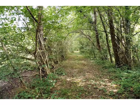 vente terrain 464000 m² à coullons (45720)  336 000 €