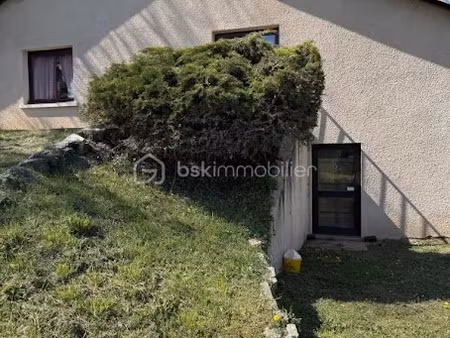 vente locaux professionnels 316 m² à saint-haon-le-vieux (42370)  220 000 €