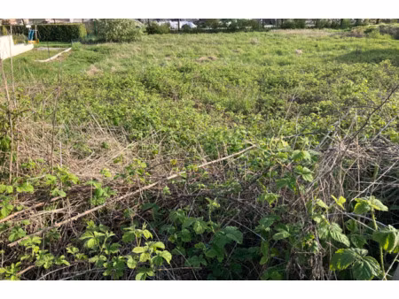 en vente terrain constructible 10 63 ares – 57 000 € |woustviller