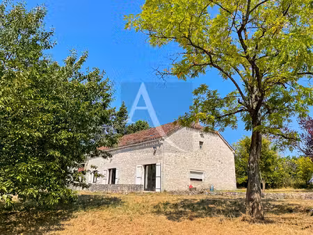vente maison 12 pièces  216.00m²  saint