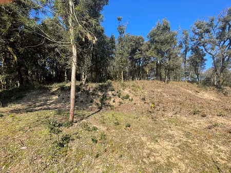 vente terrain  800.00m²  longeville