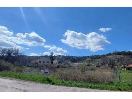 vente terrain 3825 m² saléon (05300)