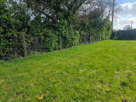 vente terrain à baden (56870) : à vendre / 560m² baden