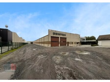 commercieel te huur in kruisem