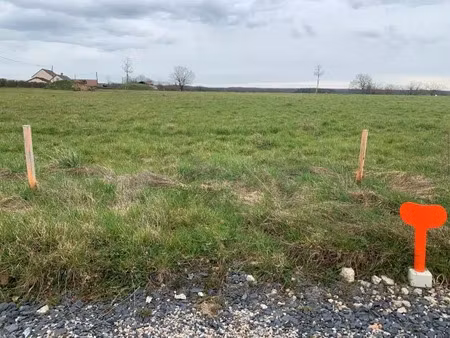 vente terrain 761 m² à palinges (71430)  19 786 €