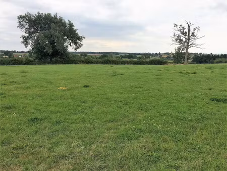 vente terrain 1323 m² à chalmoux (71140)  13 230 €