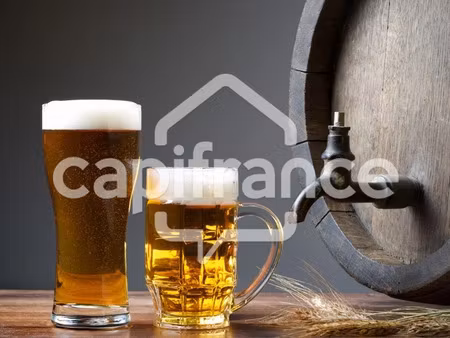 vente locaux professionnels 365 m² à villers-sur-mer (14640)  165 000 €