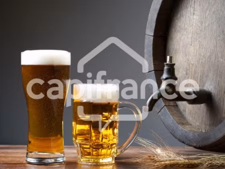 vente locaux professionnels 365 m² à villers-sur-mer (14640)  199 000 €