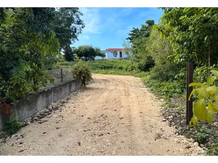 vente terrain à batir 6389 m² à sainte anne (97180)  375 000 €