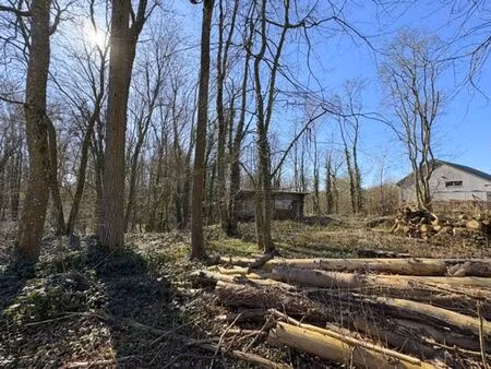 terrain à bâtir de +/ 21 ares