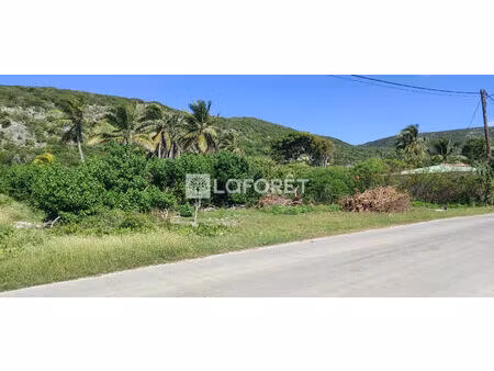 a la désirade  terrain 2130 m² opportunité rare sur l'ile