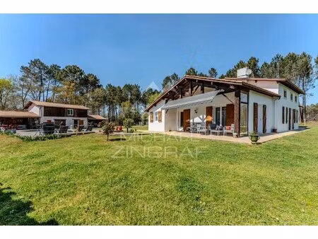 une rénovation contemporaine au sud du bassin - mziba1244