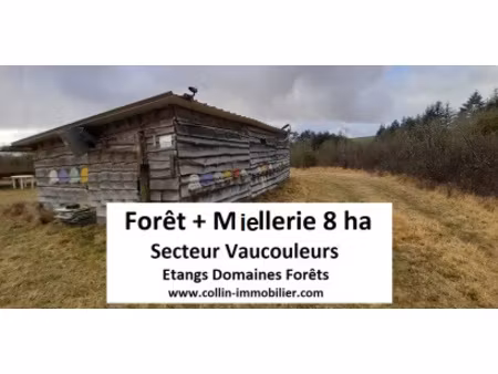 en vente terrain constructible 800 ares – 67 000 € |vaucouleurs