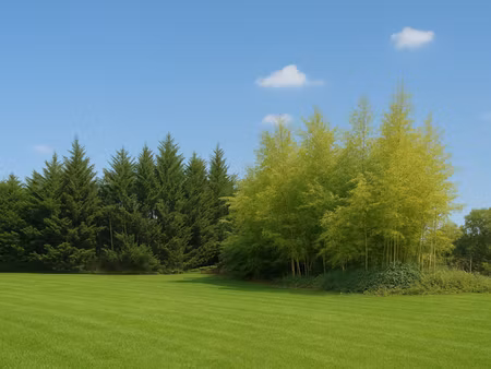 vente terrain 450 m² à dardilly (69570)  149 000 €