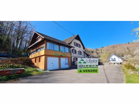 à vendre ensemble immobilier avec deux maisons