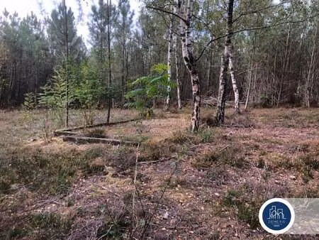 vente terrain à mulsanne (72230) : à vendre / mulsanne