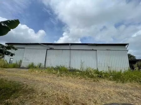 vente local commercial 631 m2 à le robert