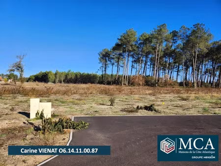 vente terrain 690 m² pissos (40410)