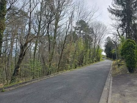 terrain boisé constructible  d'une surface de 2361 m²  cu opérationnel  sur la commune de 