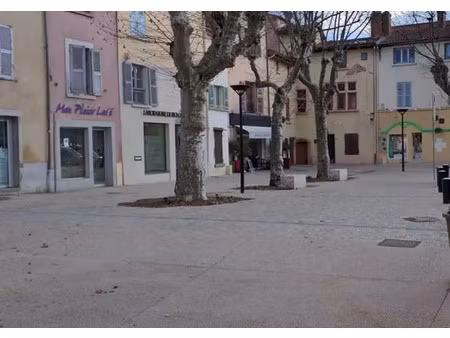 local/bureau bail à céder brignais (69)