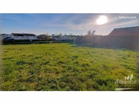 terrain 1042 m² delle