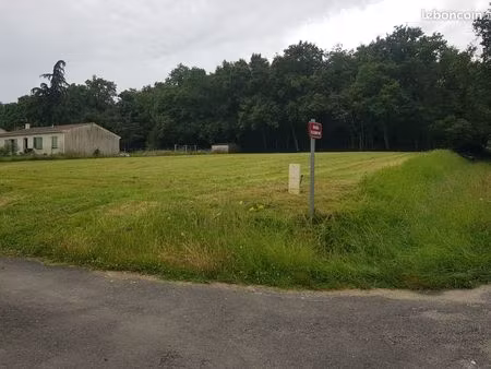 terrain à bâtir viabilisé saint-maigrin 17520