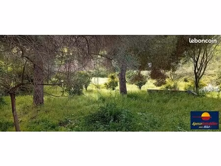 terrain 1906 m² bastelicaccia