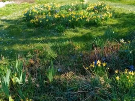 terrain constructible