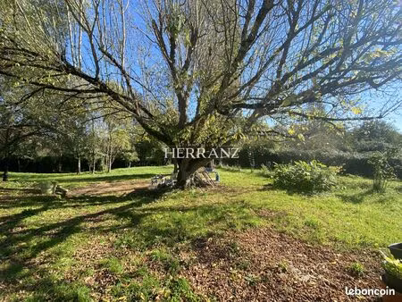 maison 3 pièces 74 m²