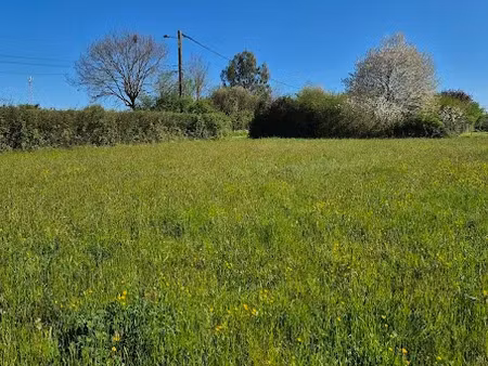 vente terrain 800 m² à saint-adjutory (16310)  29 500 €