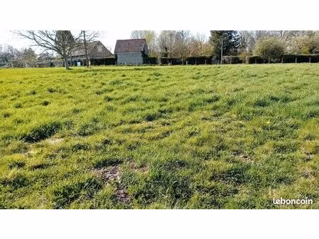 terrain constructible