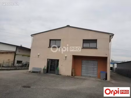 local d'activité 560 m²