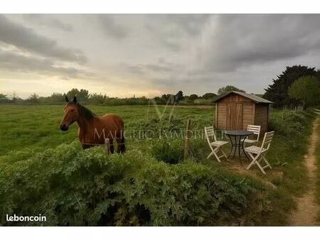 terrain 6855 m² lansargues