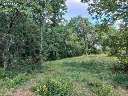 terrain 6 215 m² mirande