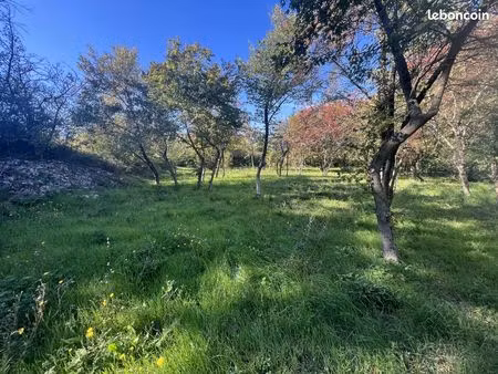 terrain 1635 m² salazac