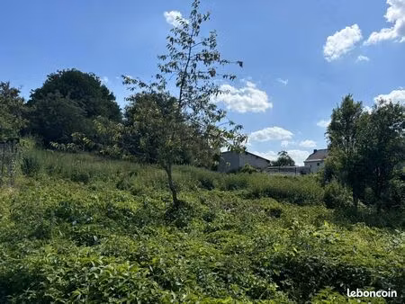 terrain 1 553 m² diebling