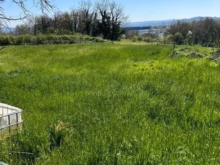 pré/ herbe pour animaux