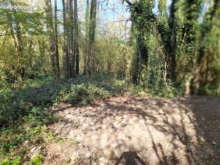 terrain boisé non constructible 2653 m²